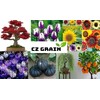 CZ GRAIN 30 Rare Tiger Melon Seeds Exotic Garden Fruit
