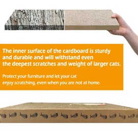 BPS® Scraper Cats Card Scraper Cats Toys Accessory Ideal for Afile Nails (24X39) BPS-1853