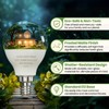 GOSCHE E12 LED Candelabra Light Bulbs, 60 Watt Equivalent, 120V