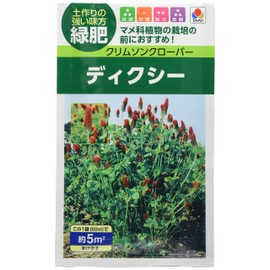 Takii Seedling Crimson Clover Dixie