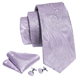 Barry.Wang Mens Ties Silk 4PC Solid Color Paisley Formal Satin Necktie Pocket Square Party Classic Wedding Anniversaries Gift Box