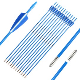 TIGER ARCHERY 28inch Archery Fiberglass Youth Arrows for Recurve Bows- Beginners Adult and Youth Kids Arrows Practice (Pack of 12) (Blue Sharp Tip)