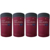 Nutri Ever Collagen Time Biotin 3g x 30 packs 4 /ynd / 에버콜라겐 타임 비오틴 3g x 30포 4개 /ynd