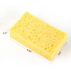 ARCLIBER Esponja exfoliante, mejora de espesor, esponja de celulosa de