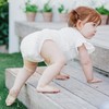 Terra Size 4 Diapers: 85% Plant-Based Diapers, Ultra-Soft & Chemical-Free