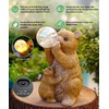 Garden Brown Bear Statues with Solar Light Resin Waterproof Figurines，Bear