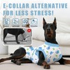 Abuandi Traje de recuperación para Perro, Talla XS HT
