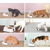 Automatischer Futterautomat für Katzen & Hunde – Intelligenter Infrarotsensor für