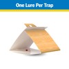Raid Pantry & Flour Moth Trap (2 Pack)