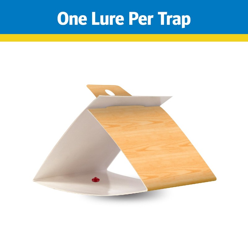 Raid Pantry & Flour Moth Trap (2 Pack)