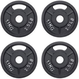 Fitvids Standard Cast Iron 1-Inch Weight Plate for Strength Training & Weightlifting, Multiple Weights Available, 2.5LB (Set of 4)