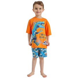 Jurassic World Boys Dinosaur Short Pyjamas Nightwear (Jurassic - Shorty, 7-8 Years)