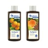 spitzner 2 Fragrances Orange and Aniseed Orange Value Pack Sauna