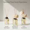 Aronica Twin Sola Diffuser 160ml_Eucalyptus and Bergamot Essential Oil Flower