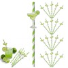 20Pcs Margarita Themed Paper Straws, Bachelorette Party Decorations, Mexican Fiesta