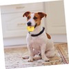 Generic Realistic Donut Squeaky Dog Toy Latex Interactive Chew Toy