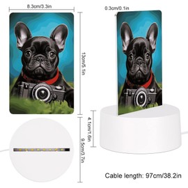 BVNMT Night Light with Switch,French Bulldog Puppy with Camera Printed Acrylic Nightlight for Kids Nursery Bedroom Bathroom Hallway Stairways Corridor Garage