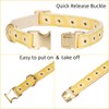 Adorable Yellow Daisy Pattern Dog Collar with Gold Buckle -