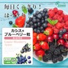 【リプサ公式】 カシス＋ブルーベリー粒 約3か月分 T-688 サプリメント