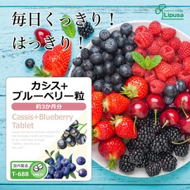 【リプサ公式】 カシス＋ブルーベリー粒 約3か月分 T-688 サプリメント