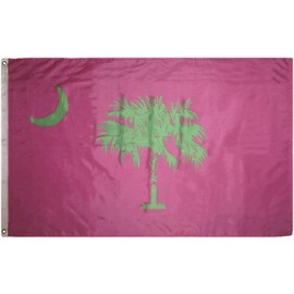 Trade Winds 3x5 State of South Carolina SC Pink/Green Premium Flag 3'x5' Banner 2 Grommets Fade Resistant Premium