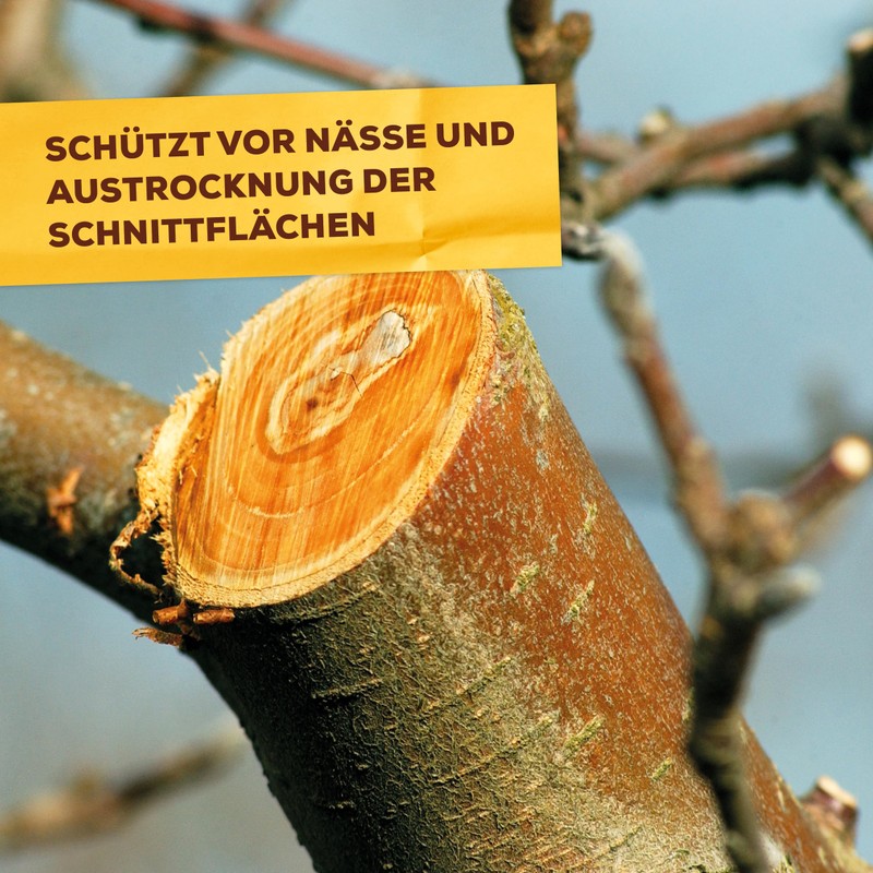 Solabiol Tree Wound Wax, Ready-to-Use Wound Fastener for Fruit Trees