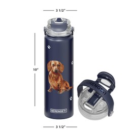 SERENGETI 24 Oz Water Bottle Stainless Steel with Spill Proof Lid - Double walled Vacuum Insulated water flask - Realistic 3D Print of your favorite dog (Dachshund red)