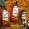Shampoo Herbal Essences Bío:Renew Bourbon Manuka Honey 400 ml