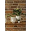 Räder Small Light Design Juri