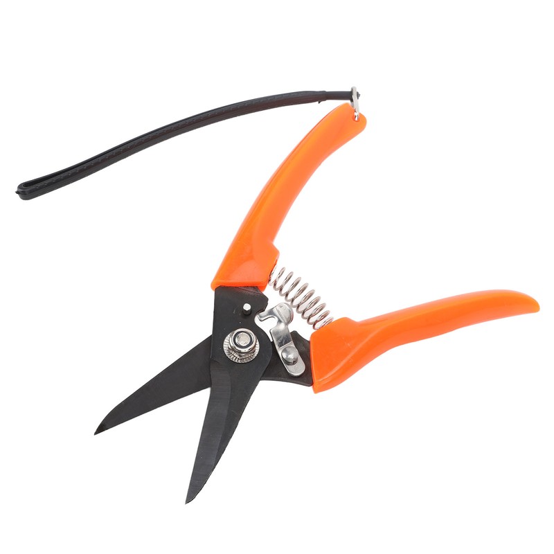Hoof Shear Red Stainless Steel High Carbon Steel Multifunctional Hoof