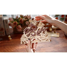 ROKR Open Closed Sign 3D Wooden Building Model Kits for Adults Shop Cafe Decor