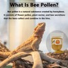 Pleasantly War Bee Pollen for Bearded Dragons and Amphibians, Natural