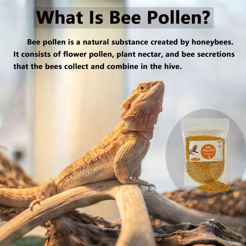 Pleasantly War Bee Pollen for Bearded Dragons and Amphibians, Natural