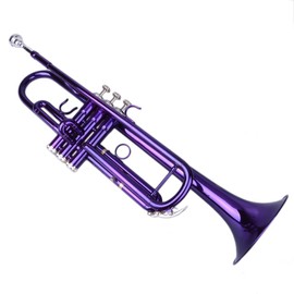 Lykos Beginner Trumpet Bb B Flat Brass Gold with Gloves Accessories Kit, Mouthpiece, Case (Purple)