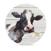 Cows Coasters for Drinks Set of 4, 4 Inch Absorbent