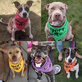 Pawskido Adopt Me - Bandana para perros, Paquete de 5