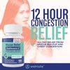 WELMATE WELMATE Mucus Relief | Guaifenesin 1200mg | 100 Ct Exp 5/27 (Generic Mucinex)