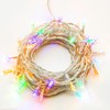 Hellum 560473 Indoor 40lamps LED Transparent - Decoration Lighting (40