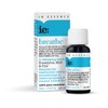 In Essence Breathe Pure Essential Oil Blend 10ml