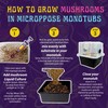 SPORE SORCERY Beginners Medium Monotub Grow Kit | Grows Like