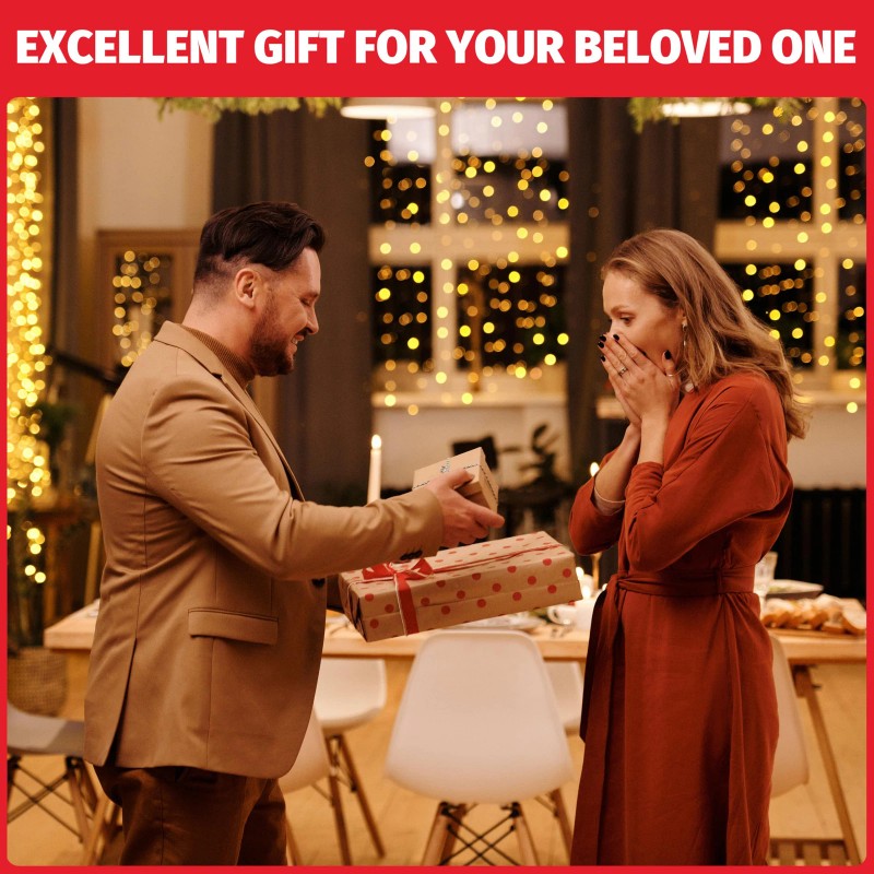 SugarWhisk Double Mini Pancakes Maker Machine Arepa Maker Electric Pancake