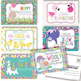 Have A Great Spring Break Themed Blank Postcards For Teachers To Send To Students, 4"x6" Fill In Notecards (6 different designs) by AmandaCreation (30)