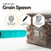Mycelium 15LB Monotub Mushroom Grow Kit | 10LB CVG Substrate