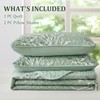 DJY Sage Green Quilt Set Twin Size Branch Botanical Pattern