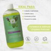 Shampoo Con Extracto De Nopal Revitalizante Productos Mart Mexico 500