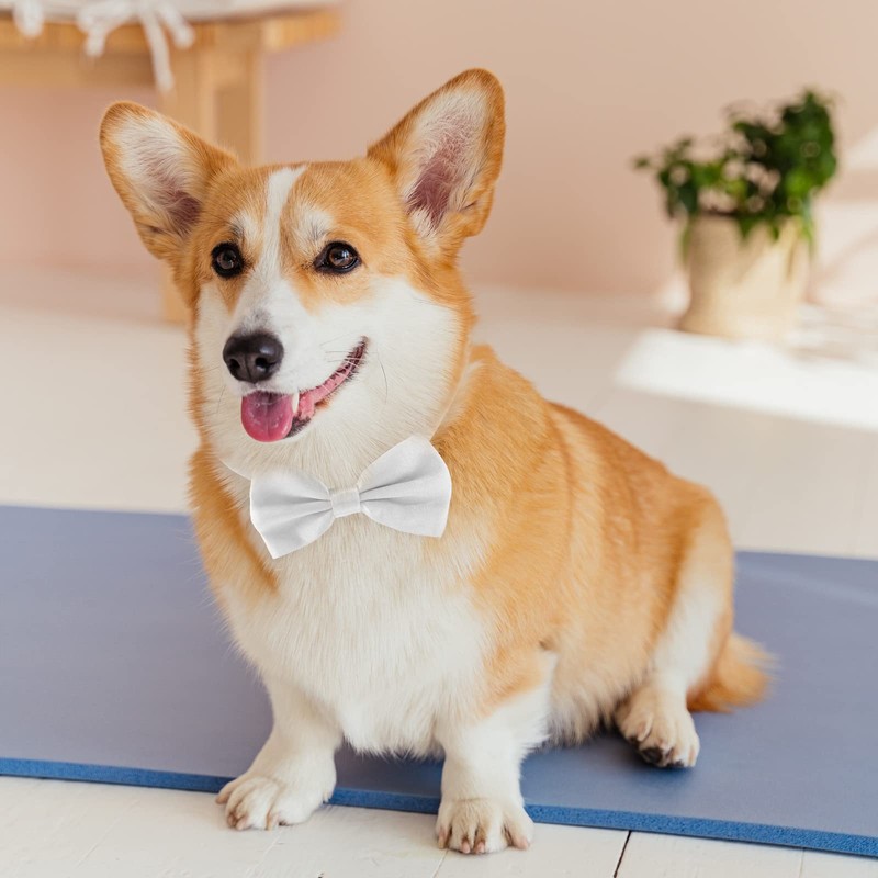 KOOLMOX Dog Bow Tie, Adjustable White Dog Collar Bow Tie