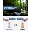 Filtered Shower Head with Handheld, BOWGER 6 Modes High Pressure