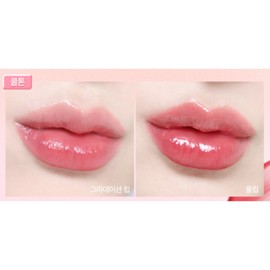 Touch Insole Lip Tint Vegan Again Glossy Flower Shower / 터치인솔 립틴트 비건어게인 글로시 플라워샤워 X2