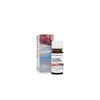 In Essence Therapeutic Pure Natural Australian Native Lavender Tasmanian Aroma