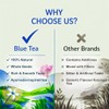 BLUE TEA - Milk Thistle Tea - 100 Count -